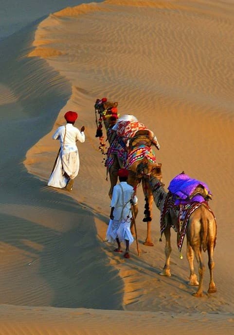 Desert Safari Experience