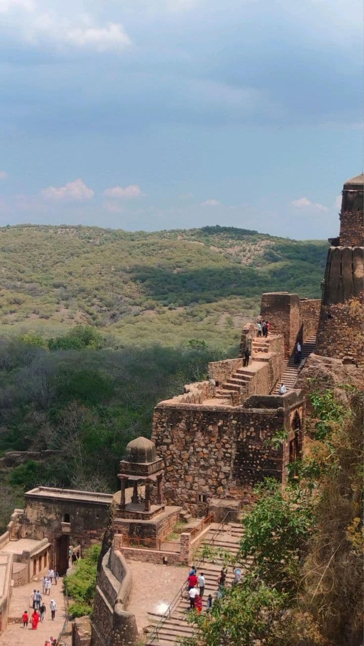 Rajasthan Wildlife & Forts Tour