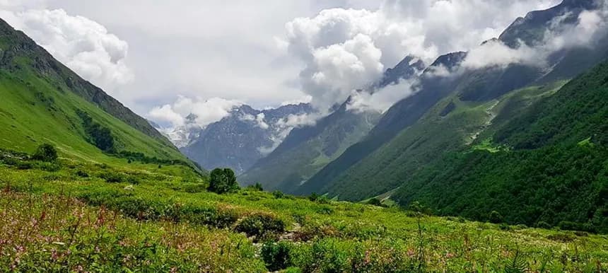 Valley of Flowers Trek