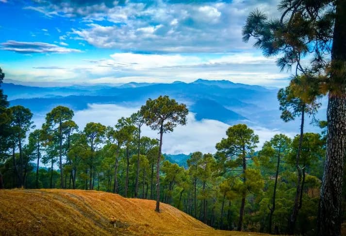 Ranikhet Almora Tour